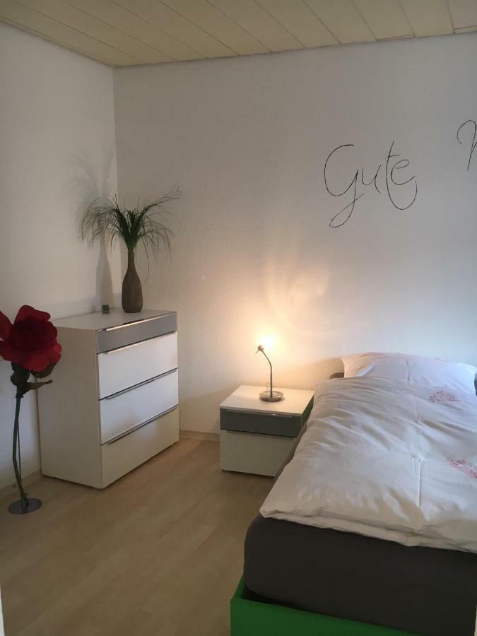Gemuetliches Appartement Naehe Zentrum Mit Kueche Haßfurt المظهر الخارجي الصورة